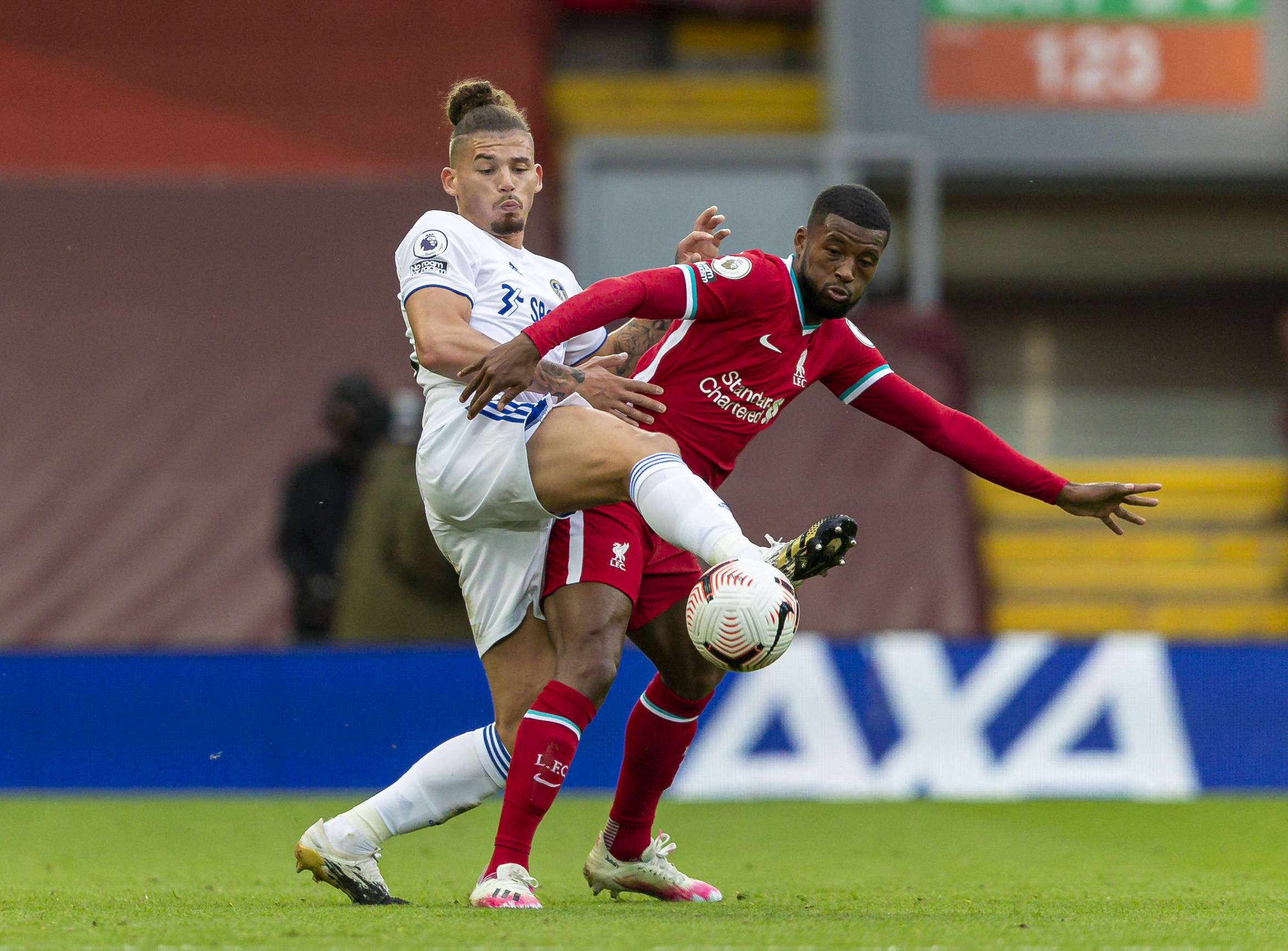 迷和媒体的 迷和媒体的