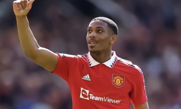 年輕球員戈 年輕球員戈